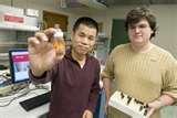 Bed Bugs Rutgers