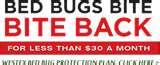 Bed Bugs To The Naked Eye pictures
