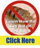 images of Bed Bugs To The Naked Eye