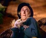 Can Bed Bugs Carry Mrsa photos