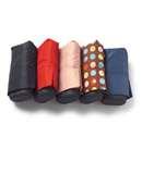 images of Bed Bugs Airport