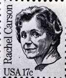 pictures of Century 21 Bed Bugs