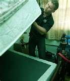 photos of Century 21 Bed Bugs