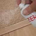 pictures of Bed Bugs 309