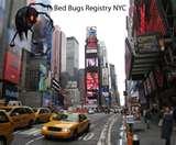 pictures of Bedbugs Registry New York City