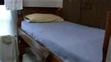 pictures of Bed Bugs Naples Fl
