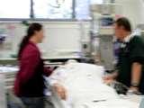 images of Bed Bugs Nsw Health