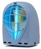 Bed Bugs Kyoto photos