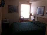 Bed Bugs Microwave pictures