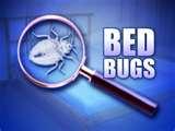 Bed Bugs Iowa Cedar Rapids