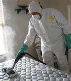 Bed Bugs Evansville pictures