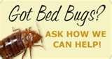 Bed Bugs Evansville photos