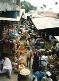 images of Bed Bugs Ghana