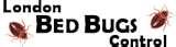 Bed Bugs Green Solutions pictures