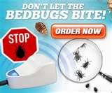 Bed Bugs Treatment Of Bites pictures