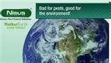 images of Bed Bugs Green Solutions