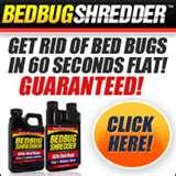 pictures of Bed Bugs Effects Spray