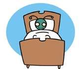 pictures of Bed Bugs 2010