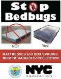 images of Bed Bugs Nyc Law