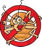 Bed Bugs Precautions images