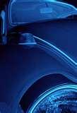 Bed Bugs 78704
