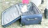 Bed Bugs Precautions pictures