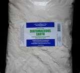 Bed Bugs Radiator images