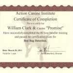 images of Bed Bugs Hudson Hotel