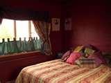 Bed Bugs Ehow photos