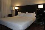 Bed Bugs Ehow photos