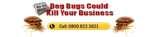 Bed Bugs Psychological Trauma images