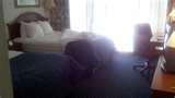 images of Bed Bugs El Paso