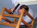 images of Bed Bugs Are Attracted To
