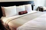 pictures of Bed Bugs Aggressive