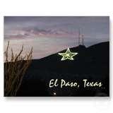 Bed Bugs El Paso pictures