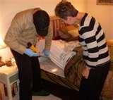 photos of Bed Bugs El Paso