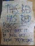 pictures of Bed Bugs Aggressive