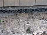 Bed Bugs Nj School images