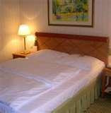 photos of Bed Bugs Safety