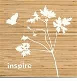 images of Bed Bugs Obama