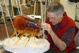 Bed Bugs Uconn photos