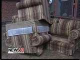pictures of Bed Bugs Uconn