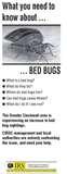 photos of Bed Bugs Uconn