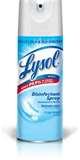 photos of Bed Bugs Lysol Kill