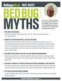 pictures of Bed Bugs Russian