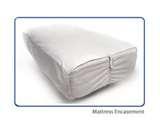 Bed Bugs Plastic Mattress Covers images