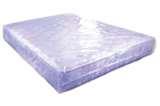photos of Bed Bugs Plastic Mattress Covers