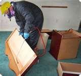 Bed Bugs Sticky Tape