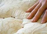 images of Bed Bugs Russian