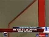 Bed Bugs Russian